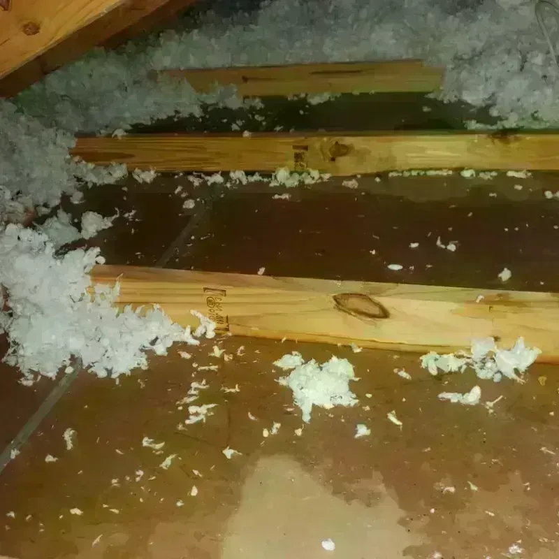 Attic Water Damage in Maud, OK